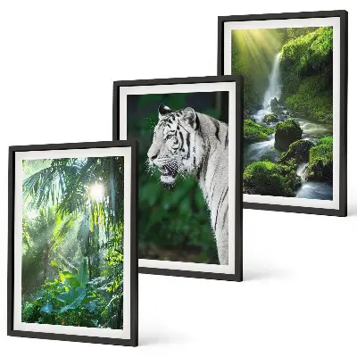 Cadre photo mural motif cascade du tigre dans la jungle