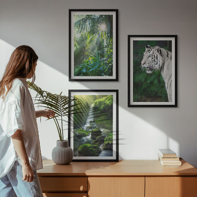 Cadre photo mural Cascade du tigre de la jungle