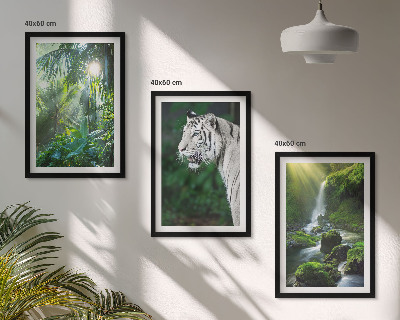 Cadre photo mural Cascade du tigre de la jungle