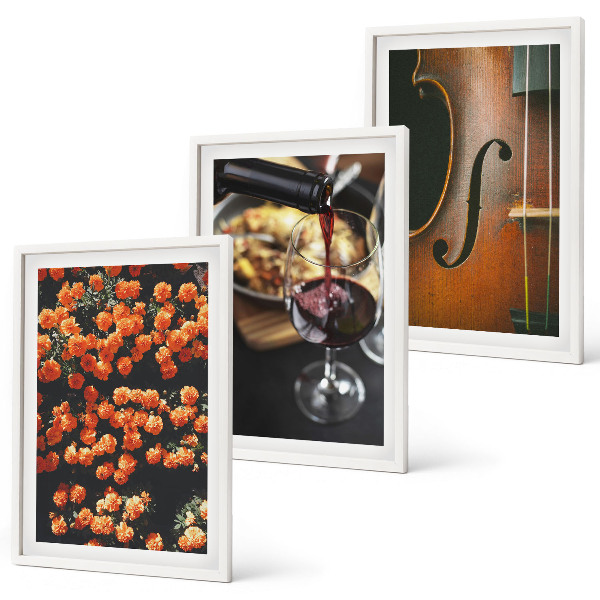 Lot de 3 tableaux pour salon Fleurs vintage vin violon