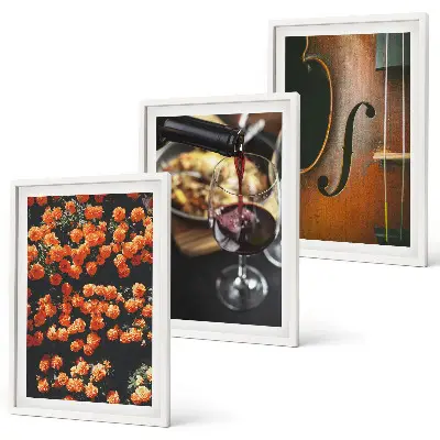 Lot de 3 tableaux pour salon avec motif fleurs vintage, vin et violon