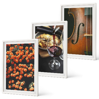 Lot de 3 tableaux pour salon Fleurs vintage vin violon