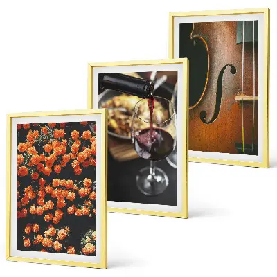 Lot de 3 tableaux pour salon avec motif fleurs vintage, vin et violon