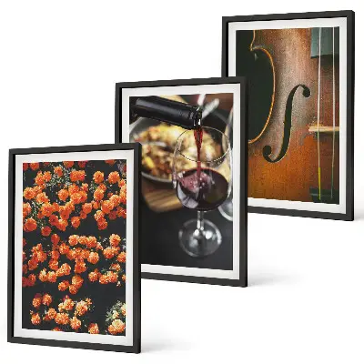 Lot de 3 tableaux pour salon avec motif fleurs vintage, vin et violon