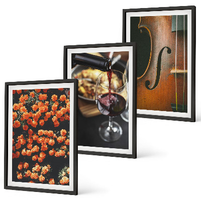 Lot de 3 tableaux pour salon Fleurs vintage vin violon