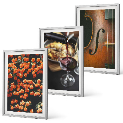 Lot de 3 tableaux pour salon Fleurs vintage vin violon
