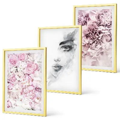 Lot de 3 tableaux pour salon motif pivoines et portrait de femme en noir et blanc