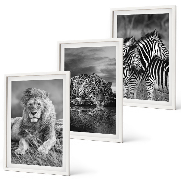 Lot de 3 tableaux pour salon Animaux sauvages de la savane
