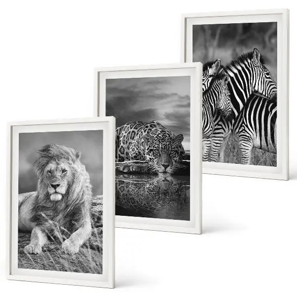 Lot de 3 tableaux Animaux sauvages de la savane décoration murale pour salon