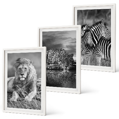 Lot de 3 tableaux pour salon Animaux sauvages de la savane