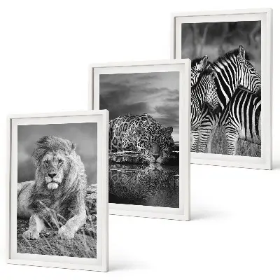 Lot de 3 tableaux Animaux sauvages de la savane décoration murale pour salon