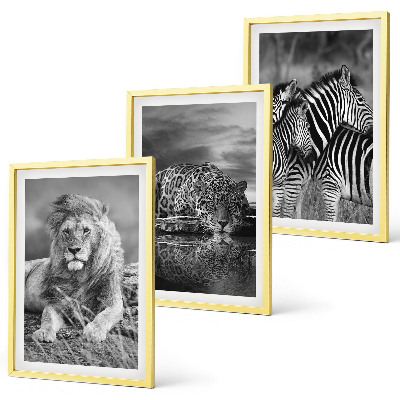 Lot de 3 tableaux pour salon Animaux sauvages de la savane