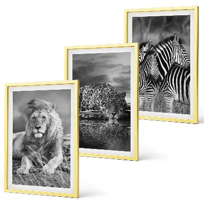 Lot de 3 tableaux Animaux sauvages de la savane décoration murale pour salon
