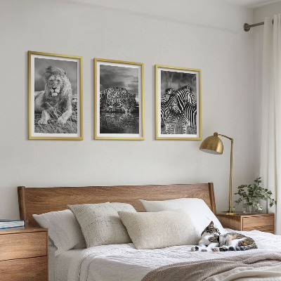 Lot de 3 tableaux pour salon Animaux sauvages de la savane