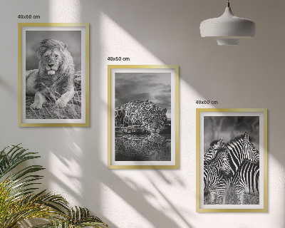 Lot de 3 tableaux pour salon Animaux sauvages de la savane