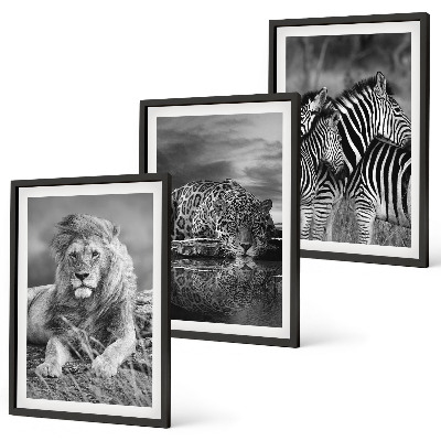 Lot de 3 tableaux pour salon Animaux sauvages de la savane