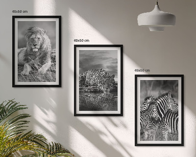 Lot de 3 tableaux pour salon Animaux sauvages de la savane