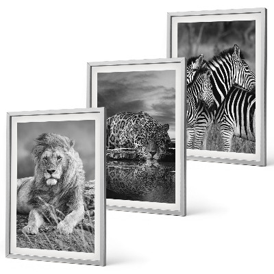Lot de 3 tableaux pour salon Animaux sauvages de la savane
