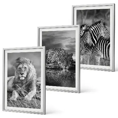 Lot de 3 tableaux Animaux sauvages de la savane décoration murale pour salon