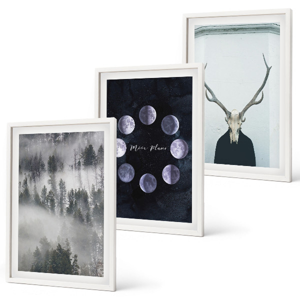 Lot de 3 tableaux pour salon Paysage forestier brume lune crâne de cerf
