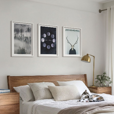Lot de 3 tableaux pour salon Paysage forestier brume lune crâne de cerf