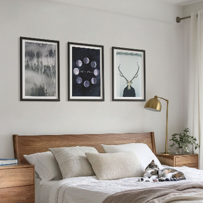 Lot de 3 tableaux pour salon Paysage forestier brume lune crâne de cerf