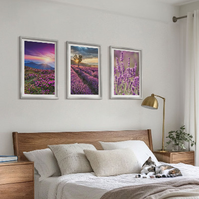 Lot de 3 tableaux pour salon Coucher de soleil sur les champs de lavande