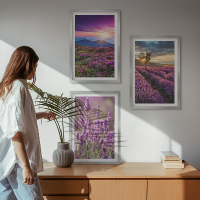 Lot de 3 tableaux pour salon Coucher de soleil sur les champs de lavande
