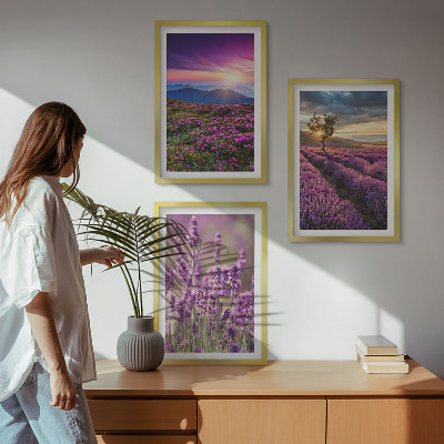 Lot de 3 tableaux pour salon Coucher de soleil sur les champs de lavande
