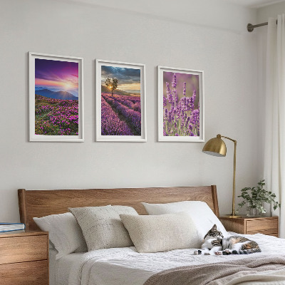 Lot de 3 tableaux pour salon Coucher de soleil sur les champs de lavande