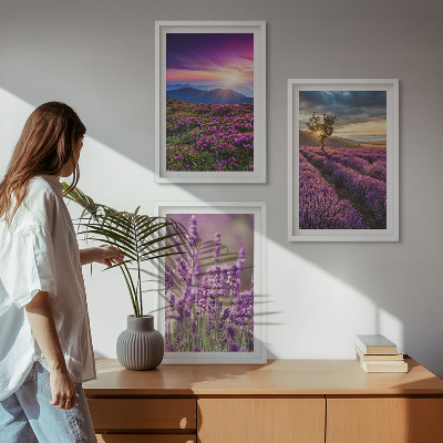 Lot de 3 tableaux pour salon Coucher de soleil sur les champs de lavande