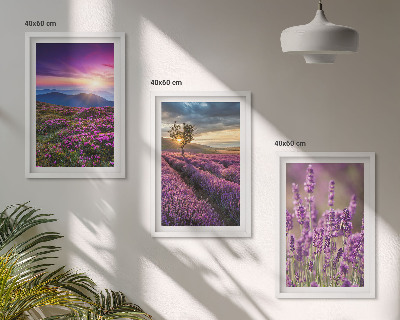 Lot de 3 tableaux pour salon Coucher de soleil sur les champs de lavande