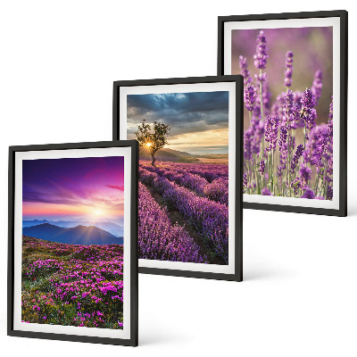 Lot de 3 tableaux pour salon Coucher de soleil sur les champs de lavande