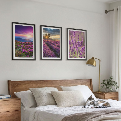 Lot de 3 tableaux pour salon Coucher de soleil sur les champs de lavande