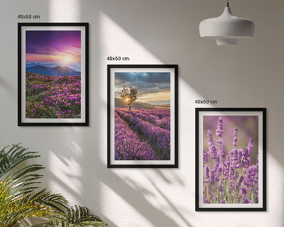 Lot de 3 tableaux pour salon Coucher de soleil sur les champs de lavande