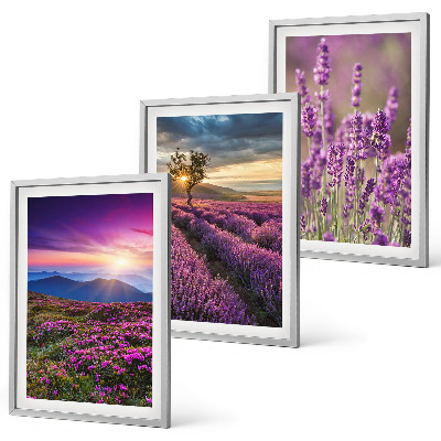 Lot de 3 tableaux pour salon Coucher de soleil sur les champs de lavande