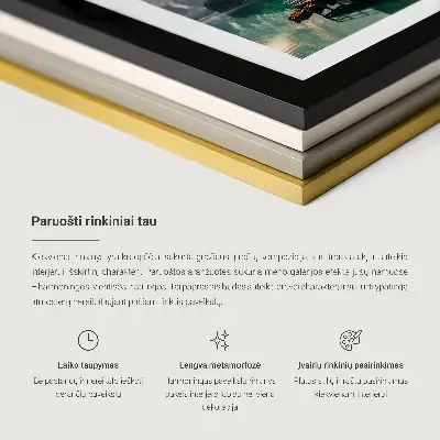 Lot de 3 tableaux pour salon représentant des paysages de montagnes avec des cascades