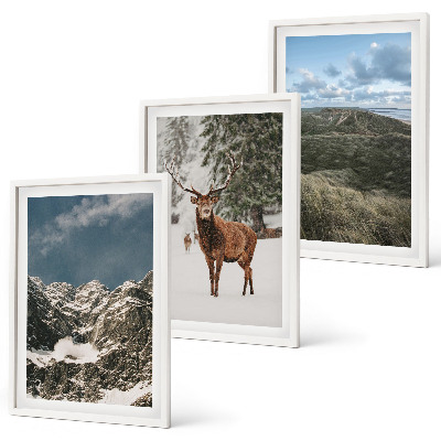 Cadre photo mural Paysage de forêt de cerfs enneigés de montagne