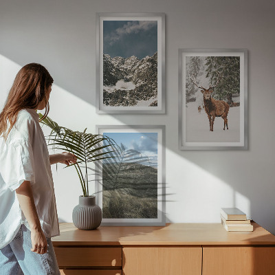Cadre photo mural Paysage de forêt de cerfs enneigés de montagne