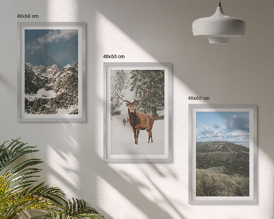 Cadre photo mural Paysage de forêt de cerfs enneigés de montagne