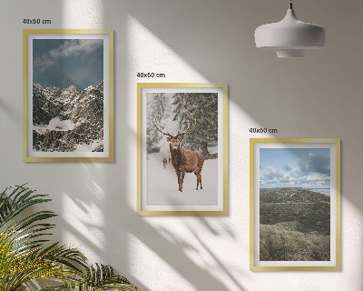 Cadre photo mural Paysage de forêt de cerfs enneigés de montagne