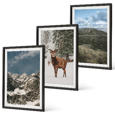 Cadre photo mural Paysage de forêt de cerfs enneigés de montagne