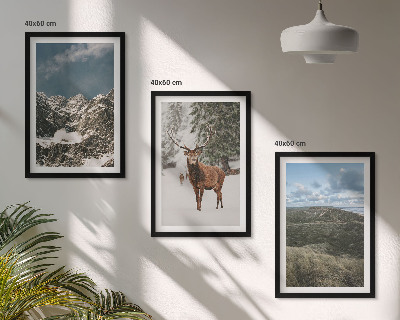 Cadre photo mural Paysage de forêt de cerfs enneigés de montagne