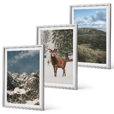 Cadre photo mural Paysage de forêt de cerfs enneigés de montagne
