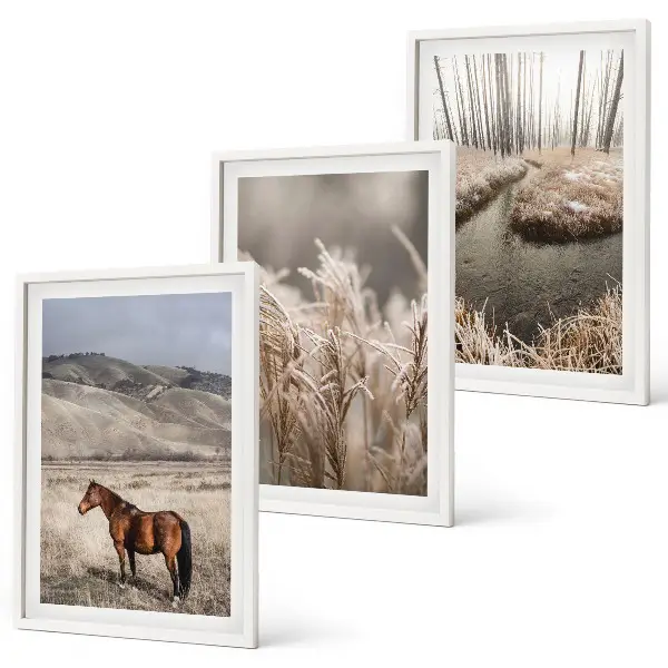 Lot de 3 tableaux pour salon représentant un paysage de chevaux dans l'herbe au bord d'un ruisseau
