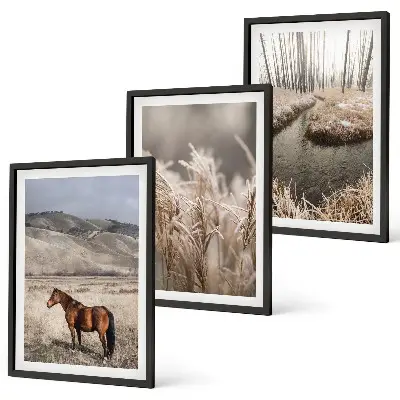 Lot de 3 tableaux pour salon représentant un paysage de chevaux dans l'herbe au bord d'un ruisseau