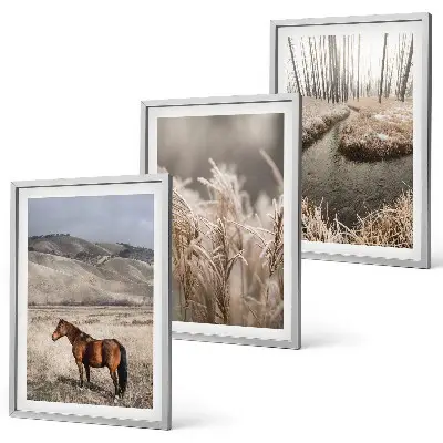 Lot de 3 tableaux pour salon représentant un paysage de chevaux dans l'herbe au bord d'un ruisseau