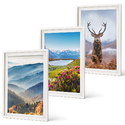 Cadre photo mural La nature des cerfs des lacs de montagne