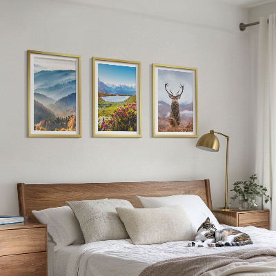 Cadre photo mural La nature des cerfs des lacs de montagne