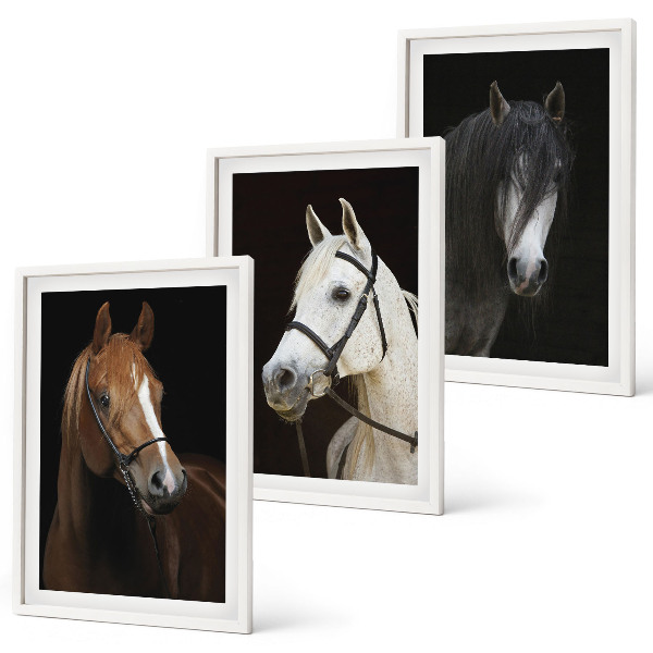 Cadre photo mural Portraits de chevaux dans des tons de fourrure